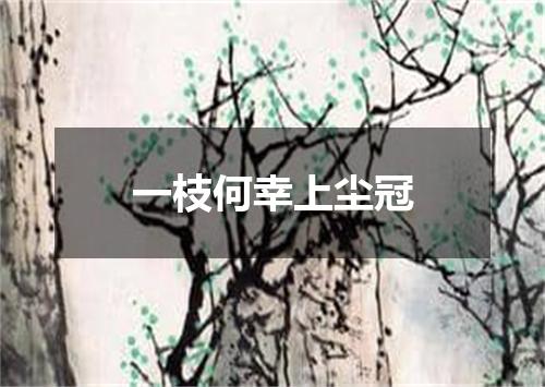 一枝何幸上尘冠