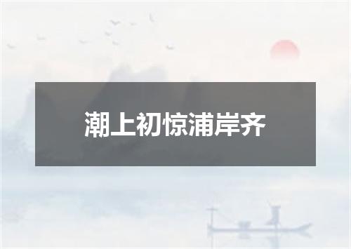 潮上初惊浦岸齐