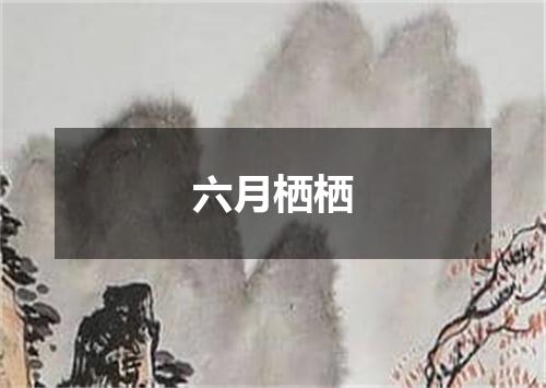 六月栖栖