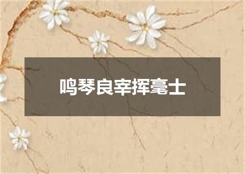 鸣琴良宰挥毫士