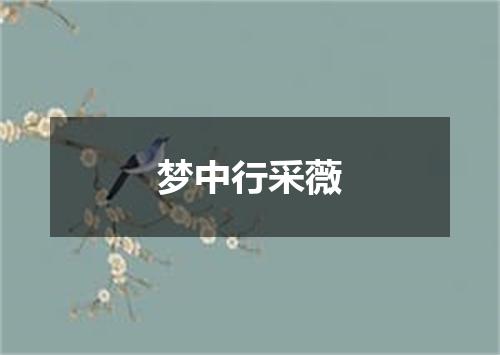梦中行采薇