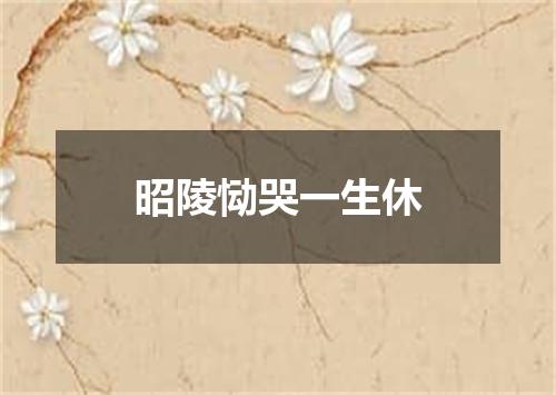 昭陵恸哭一生休