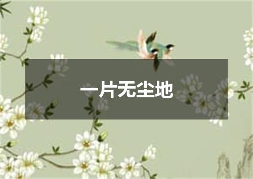 一片无尘地