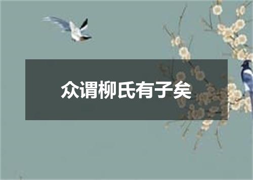 众谓柳氏有子矣