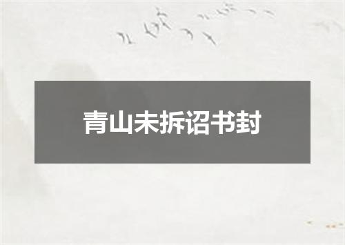 青山未拆诏书封