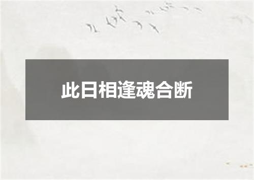 此日相逢魂合断