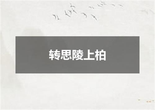 转思陵上柏