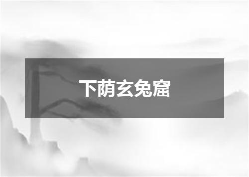 下荫玄兔窟