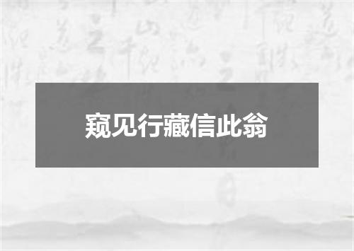 窥见行藏信此翁