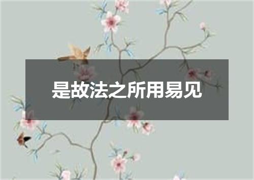 是故法之所用易见