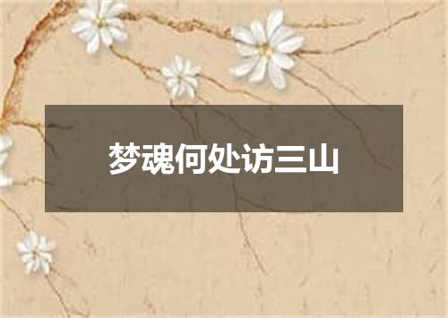 梦魂何处访三山