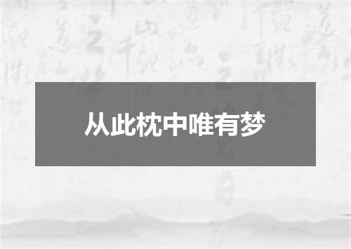 从此枕中唯有梦