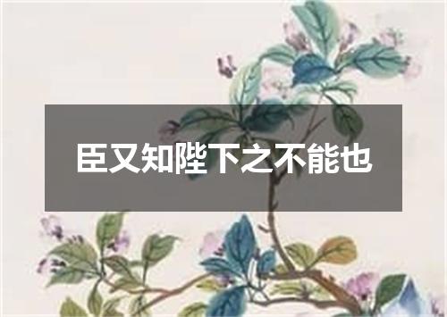 臣又知陛下之不能也