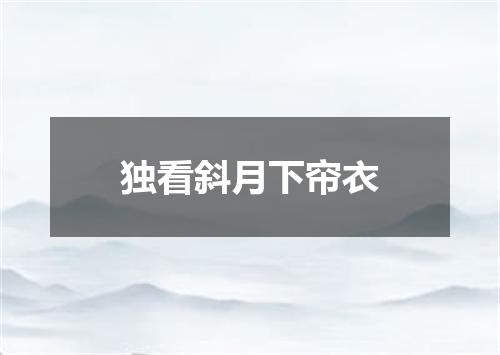 独看斜月下帘衣