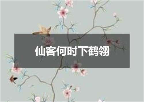 仙客何时下鹤翎