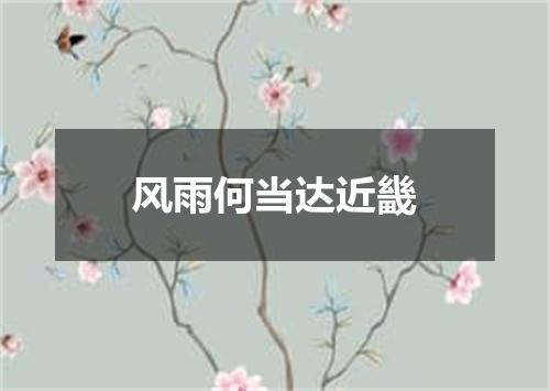 风雨何当达近畿