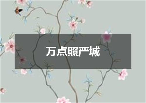 万点照严城