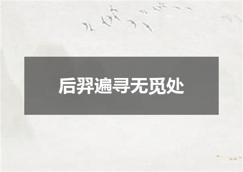 后羿遍寻无觅处