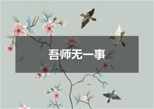 吾师无一事