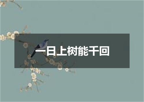 一日上树能千回