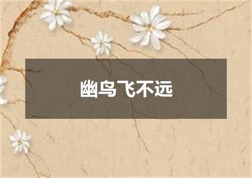 幽鸟飞不远