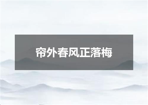 帘外春风正落梅