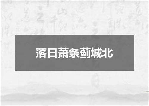 落日萧条蓟城北