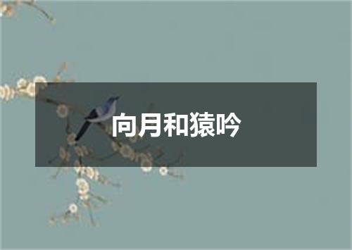向月和猿吟