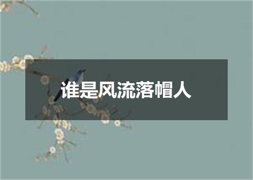 谁是风流落帽人