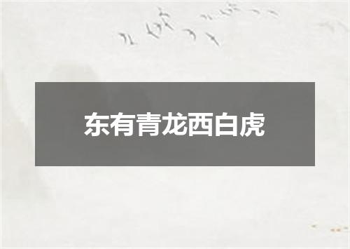 东有青龙西白虎