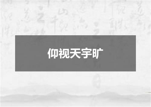 仰视天宇旷