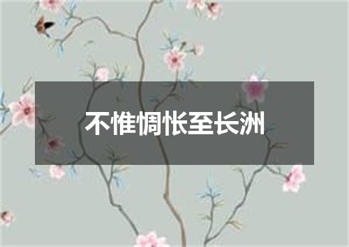 不惟惆怅至长洲