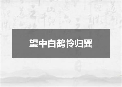 望中白鹤怜归翼