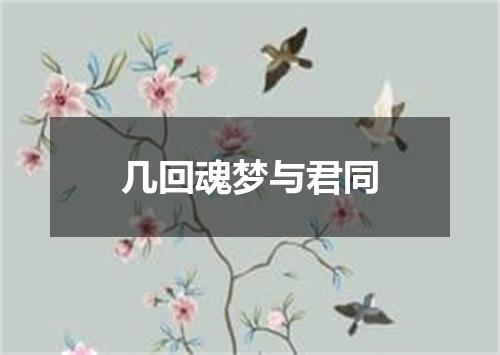 几回魂梦与君同