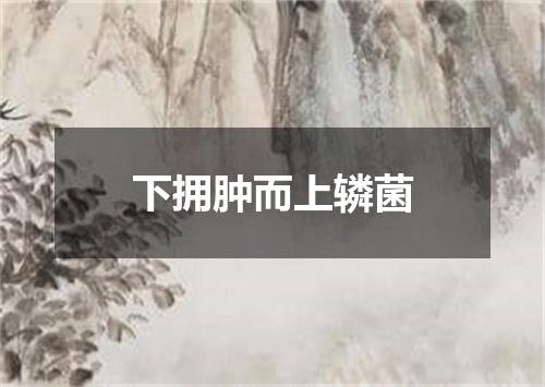 下拥肿而上辚菌