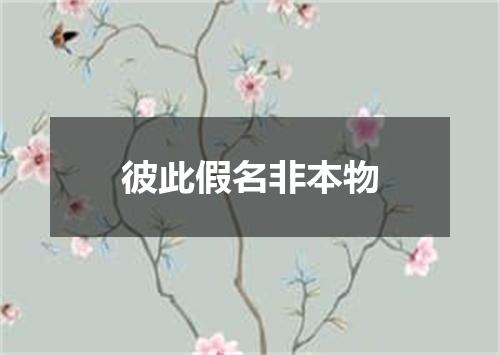 彼此假名非本物