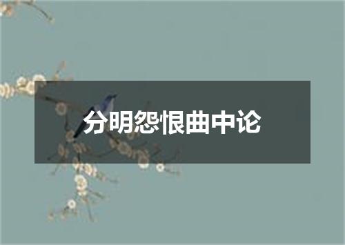 分明怨恨曲中论