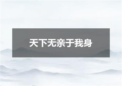 天下无亲于我身