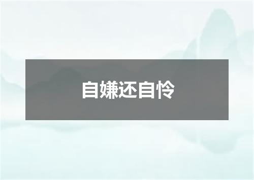 自嫌还自怜