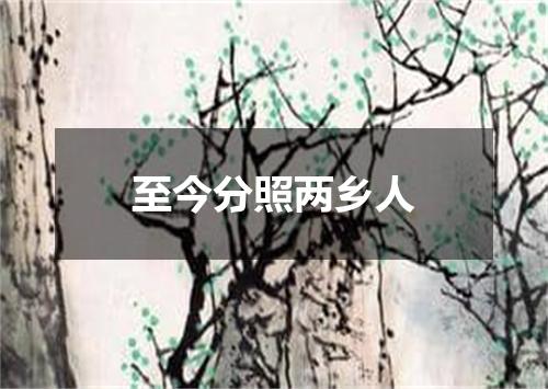 至今分照两乡人