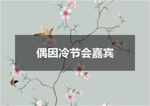 偶因冷节会嘉宾