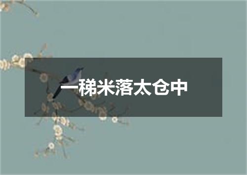 一稊米落太仓中