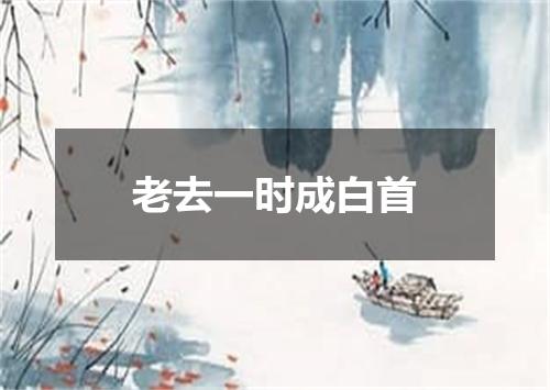 老去一时成白首