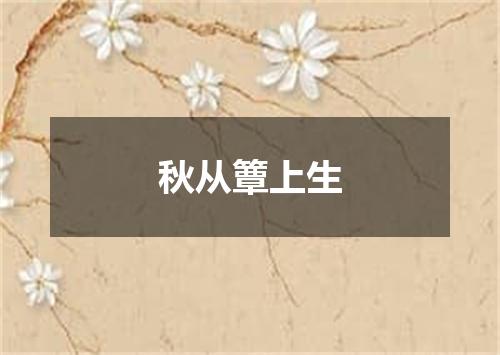 秋从簟上生