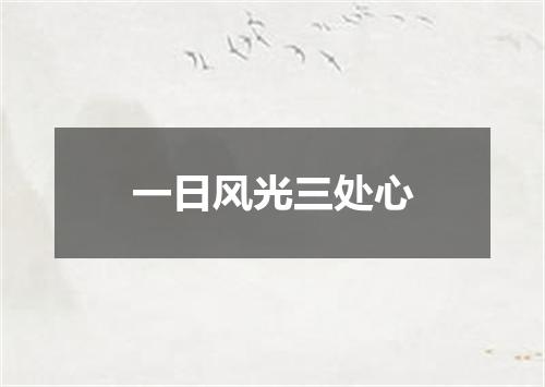 一日风光三处心