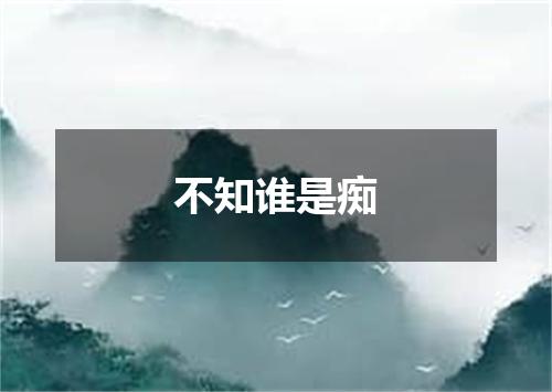 不知谁是痴