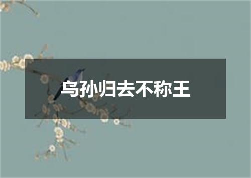 乌孙归去不称王