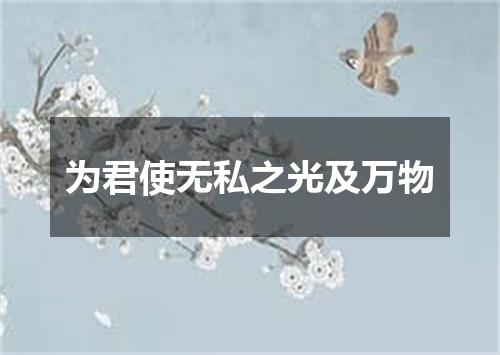 为君使无私之光及万物