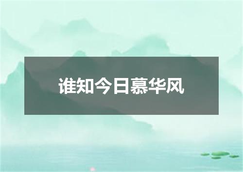 谁知今日慕华风