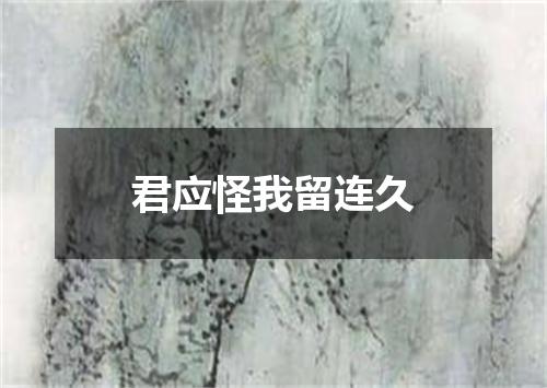 君应怪我留连久